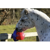 Jeu pierre à sel Tongue Twister Likit Rouge