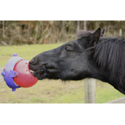 Jeu pierre à sel Tongue Twister Likit Rouge