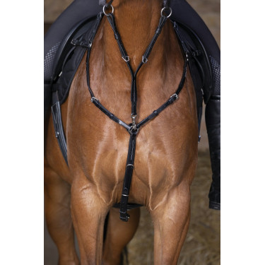 Collier de chasse Eric Thomas Hybrid Collier de chasse Eric Thomas Hybrid