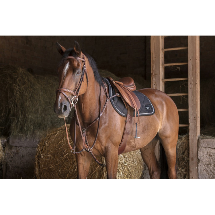 Collier de chasse Eric Thomas Hybrid Collier de chasse Eric Thomas Hybrid