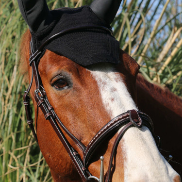 Bridon Pénélope Point Sellier Havane Marron