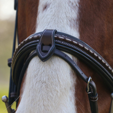 Bridon Pénélope Point Sellier Havane Marron