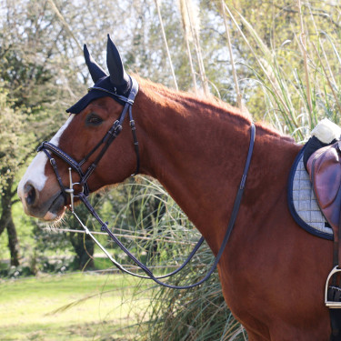 Bridon Pénélope Point Sellier Havane Marron