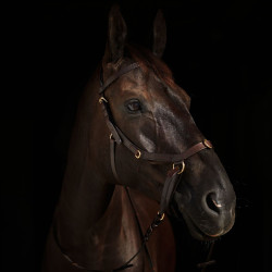 Bridon combiné Orlando Horze bitless en cuir Marron Bridon combiné Orlando Horze bitless en cuir Marron