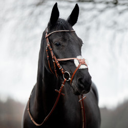 Bridon Valencia Muserolle Croisée à strass