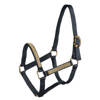 Licol poulain strass Horze Bleu foncé
