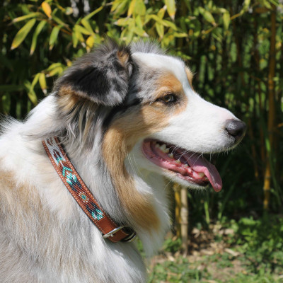Collier pour chien Pénélope Pearl Cognac / turquoise