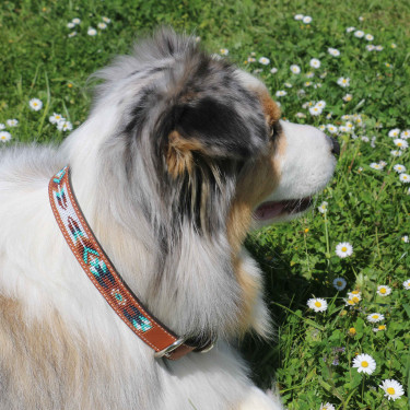 Collier pour chien Pénélope Pearl Collier pour chien Pénélope Pearl