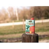 Emouchine Forte Ravene Emouchine Forte Ravene