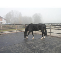 Delta Diam 16 mm Puzzle - Allée, Van et Camion Delta Diam 16 mm Puzzle - Allée, Van et Camion