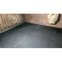 Dalle de box Apollon Dalle de box Apollon