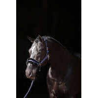 Licol Classic Soft Covalliero Bleu marine Licol Classic Soft Covalliero Bleu marine