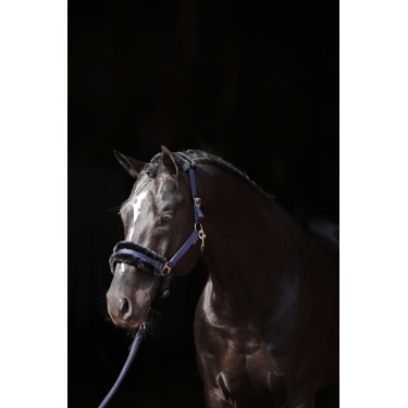 Licol Classic Soft Covalliero Licol Classic Soft Covalliero