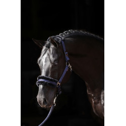 Licol Classic Soft Covalliero Bleu marine