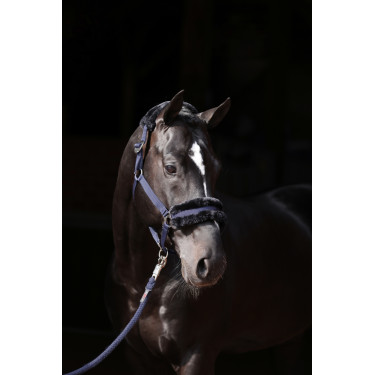 Licol Classic Soft Covalliero Licol Classic Soft Covalliero