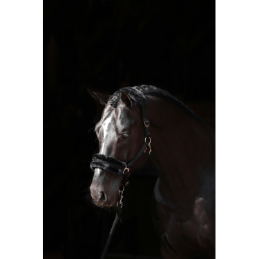 Licol Classic Soft Covalliero Licol Classic Soft Covalliero