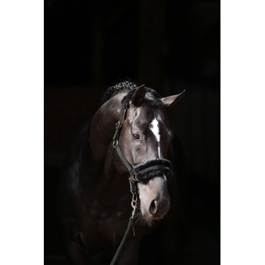Licol Classic Soft Covalliero Licol Classic Soft Covalliero