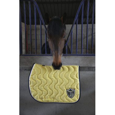 Tapis Paddock Sports Origine Tapis Paddock Sports Origine