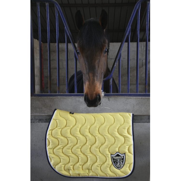 Tapis Paddock Sports Origine Tapis Paddock Sports Origine