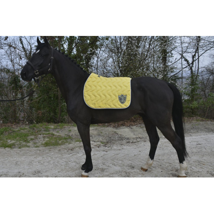 Tapis Paddock Sports Origine Tapis Paddock Sports Origine