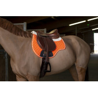 Tapis amortisseur Norton Noir Tapis amortisseur Norton Noir