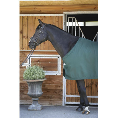 Chemise Paddock Sports Présentation Chemise Paddock Sports Présentation