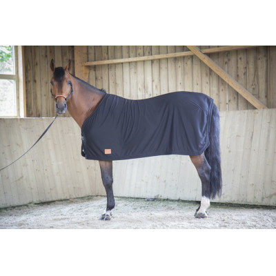 Chemise Paddock Sports Séchante Noir
