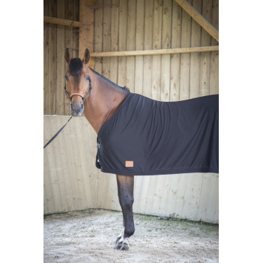 Chemise Paddock Sports Séchante Chemise Paddock Sports Séchante