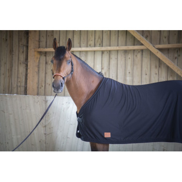 Chemise Paddock Sports Séchante Chemise Paddock Sports Séchante