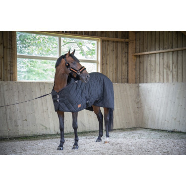 Chemise Paddock Sports Light Mesh Chemise Paddock Sports Light Mesh
