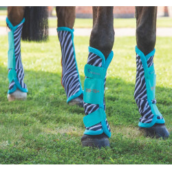 Guêtres anti mouches Arma Zeb-Tech Shires Bleu sarcelle