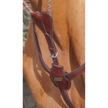 Collier de chasse luxe T de T avec pont Collier de chasse luxe T de T avec pont