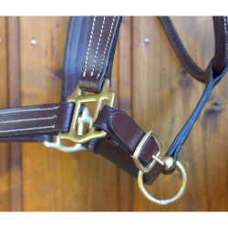 Licol cuir T de T trippled stiched renfort nylon Marron foncé