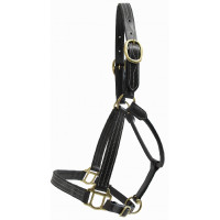 Licol cuir T de T trippled stiched renfort nylon Noir