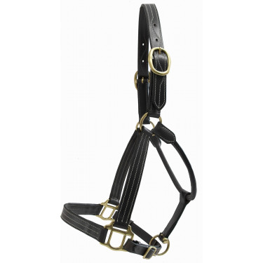 Licol cuir T de T trippled stiched renfort nylon Noir