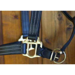 Licol cuir T de T trippled stiched renfort nylon Noir