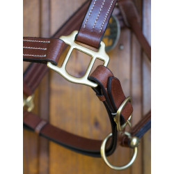 Licol cuir T de T trippled stiched renfort nylon Tabac Marron