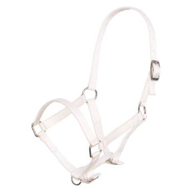 Licol poulain nylon têtière et muserolle réglable Imperial Riding Licol poulain nylon têtière et muserolle réglable Imperial Riding