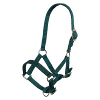 Licol poulain nylon têtière et muserolle réglable Imperial Riding Vert forêt