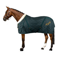 Couverture d'écurie Imperial Riding Super-dry 150gr Vert forêt