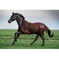 Couverture de paddock Imperial Riding Super-dry 400gr Rouge