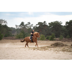 Ceinture de cou Imperial Riding Free Ride Ceinture de cou Imperial Riding Free Ride
