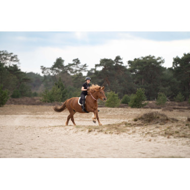 Ceinture de cou Imperial Riding Free Ride Ceinture de cou Imperial Riding Free Ride