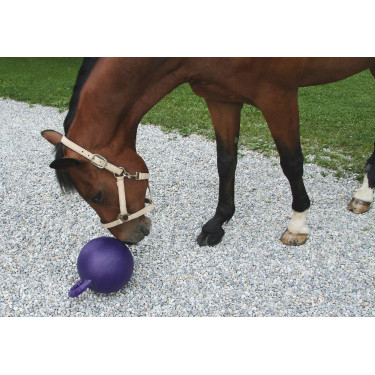 BALLON GOUT POMME / MENTHE BALLON GOUT POMME / MENTHE