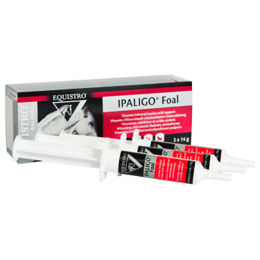 Equistro Ipaligo Foal Equistro Ipaligo Foal