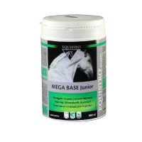 EQUISTRO MEGABASE JUNIOR