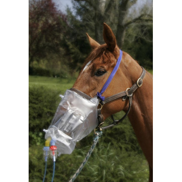 TOP MASK HORSENEB TOP MASK HORSENEB