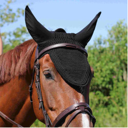 Bridon À Pont Manet T de T Havane foncé Marron