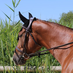 Bridon À Pont Manet T de T Havane foncé Marron
