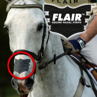 Flair Nasal Strip Noir